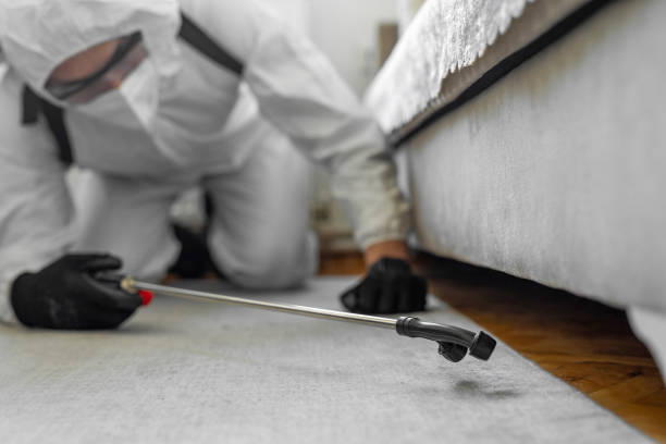 Professional Bed Bug Control technician working in Yellow Springs, OH
