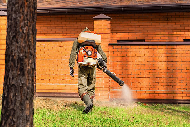 Trusted Mosquito Control service in Yellow Springs, OH - Nex Pest Control